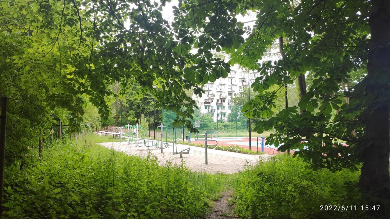 Apartament pod lasem Sopoty Exteriér fotografie